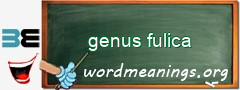 WordMeaning blackboard for genus fulica